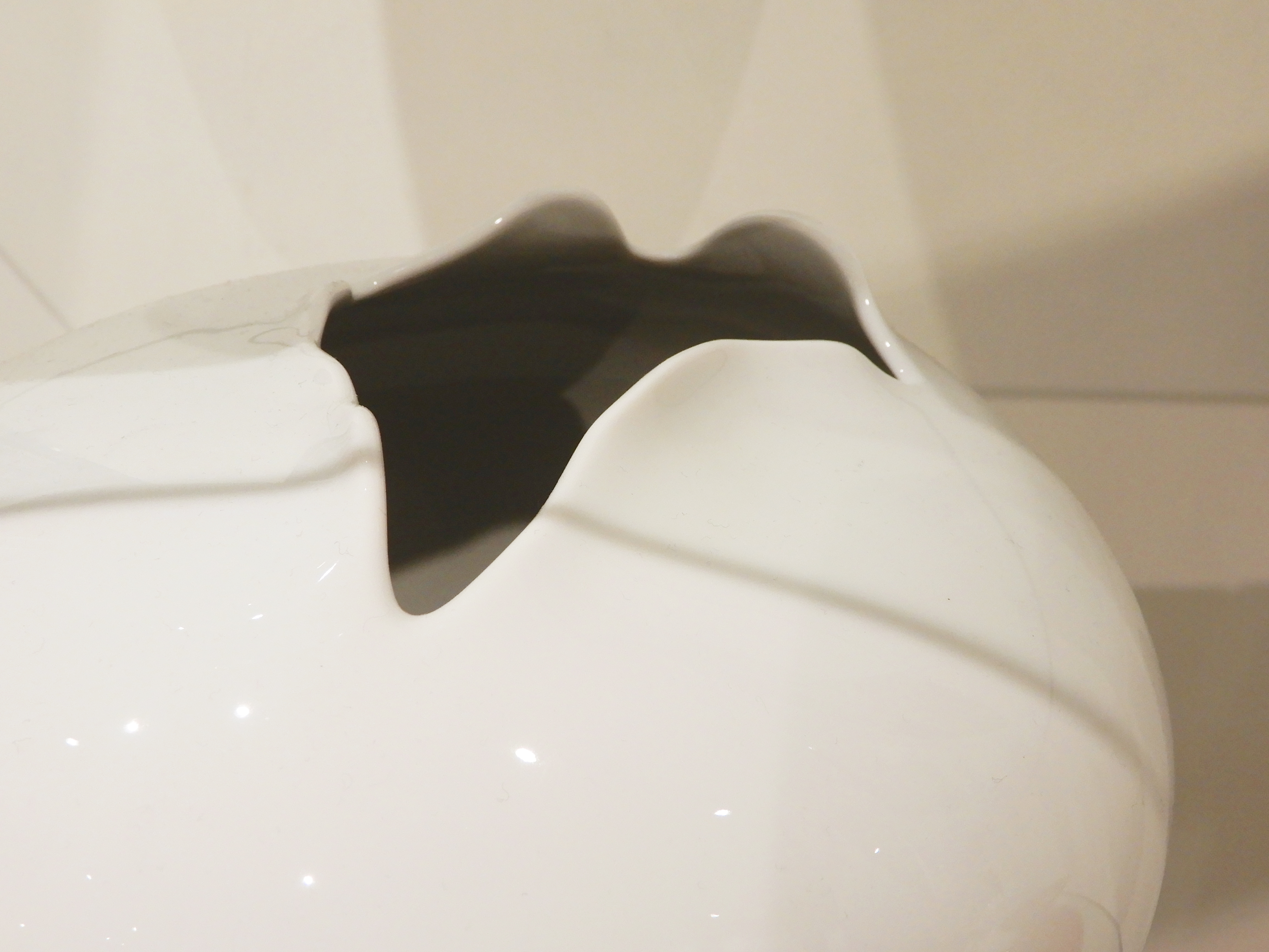 Vaso Opening Rosenthal